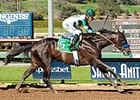 'Laid-Back' Mor Spirit Aggressive in Workout 'Laid-Back' Mor Spirit Aggressive in Workout