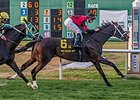 Chocolate Ride delivers the victory in the Fair Grounds Handicap.