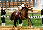 Champion Timber Country Dies at Age 24 Champion Timber Country Dies at Age 24