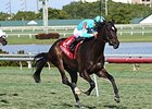 Tammy the Torpedo rolls to victory in the Suwannee River Stakes.<br><a target="blank" href="http://photos.bloodhorse.com/AtTheRaces-1/At-the-Races-2016/i-kPd7Fjd">Order This Photo</a>