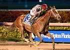 Mshawish Dazzles in Donn Handicap Mshawish Dazzles in Donn Handicap