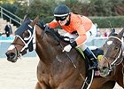 Marquee Miss outfinishes Nickname to win the Martha Washington Stakes.