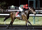 Shogood leads the way to victory in the WEBN Stakes.