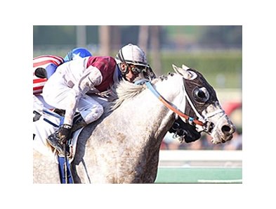 Calculator gets the victory in his return.