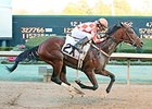 Haskin's Derby Dozen - February 16, 2016 Haskin's Derby Dozen - February 16, 2016