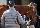 Demand for Quality at F-T Winter Mixed Sale Demand for Quality at F-T Winter Mixed Sale