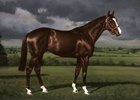 Portrait of Shergar by Richard Stone Reeves