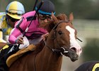Kasseopia finished second in the Grey Stakes at Woodbine in October.