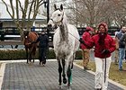 The $395,000 sale topper was Flashy American.