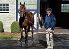 New Sires: American Made New Sires: American Made
