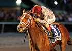 Mshawish Impressive in Final Drill for Dubai Mshawish Impressive in Final Drill for Dubai
