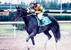 1999 Florida Derby Winner Vicar Dies 1999 Florida Derby Winner Vicar Dies