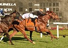 Reload fights for the win in the Tampa Bay Stakes.