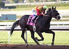 Danzing Candy wins an Allowance race Feb. 4.