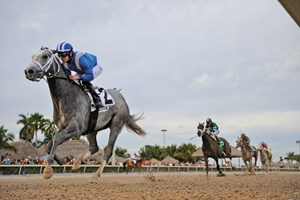 Trainer Kiaran McLaughlin has sent out his fair share of top-level runners over the years, but there was something about the performance of Shadwell Stables' Mohaymen that impressed even a seasoned veteran. "He took my breath away," McLaughlin said after the Tapit colt made made easy work of five rivals to draw clear in the $350,000 Lambholm South Holy Bull Stakes (gr. II) at Gulfstream Park.