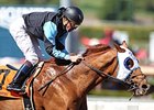 Turkish-Bred Wins at Santa Anita Turkish-Bred Wins at Santa Anita