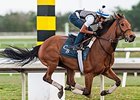 Lady Eli Set for Return to Work Tab Lady Eli Set for Return to Work Tab