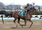 Salutos Amigos rolls late to win the Tom Fool Handicap.<br><a target="blank" href="http://photos.bloodhorse.com/AtTheRaces-1/At-the-Races-2016/i-Qv7GKvR">Order This Photo</a>