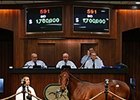 Hip 591, a colt by Smart Strike, brought $1.7 million.