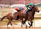 Abiding Star winning the Private Terms Stakes.