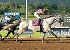 Kobe's Back comes home strong to win the San Carlos.