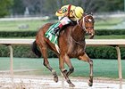Terra Promessa Heads Fantasy Stakes Terra Promessa Heads Fantasy Stakes