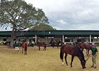 OBS March Sale