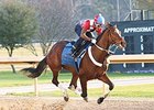 Untapable Set for Azeri Return Untapable Set for Azeri Return