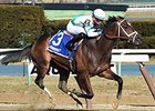 Awesome Gent wins the Winkfield Stakes.
<br><a target="blank" href="http://photos.bloodhorse.com/AtTheRaces-1/At-the-Races-2016/i-G5ZnhBK">Order This Photo</a>