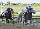 Mohaymen Favored in Future Wager Pool 3 Mohaymen Favored in Future Wager Pool 3