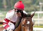 Songbird 'Perfect' After Santa Ysabel Score Songbird 'Perfect' After Santa Ysabel Score