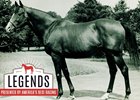 Legends: Belair Stud, a Legacy of Greatness Legends: Belair Stud, a Legacy of Greatness