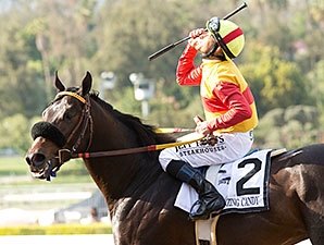 Making the Grade: Danzing Candy | BloodHorse.com