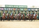 Tampa Bay Downs is set for two days of summer racing.