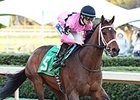 American Pioneer Eyes Arkansas Derby American Pioneer Eyes Arkansas Derby