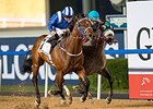 Muarrab gets by X Y Jet to win the Dubai Golden Shaheen.