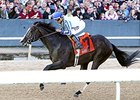 Upstart Wins Razorback in 2016 Debut Upstart Wins Razorback in 2016 Debut