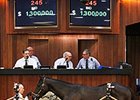 Hip 245, a colt by Uncle Mo, topped the day's trading at $1.3 million.