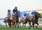 Brilliant Buffering Takes Al Quoz Sprint Brilliant Buffering Takes Al Quoz Sprint