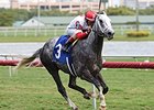 Smokem Kitten Makes the Grade in Miami Mile Smokem Kitten Makes the Grade in Miami Mile