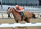 Turco Bravo Strikes for Second Stymie Win Turco Bravo Strikes for Second Stymie Win