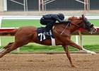 Six Tie for Fastest Furlong Time at Barretts Six Tie for Fastest Furlong Time at Barretts