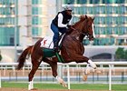 California Chrome Draws Wide for World Cup California Chrome Draws Wide for World Cup