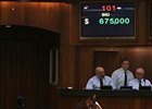 Litt Buys War Front Colt for $675,000 Litt Buys War Front Colt for $675,000