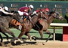 Call Pat comes up the inside to defeat Untapable in the Azeri.