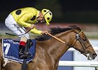 Postposted dominates the Dubai Sheema.
