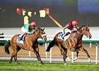 Real Steel gets home in front of Euro Charline to win the Dubai Turf.