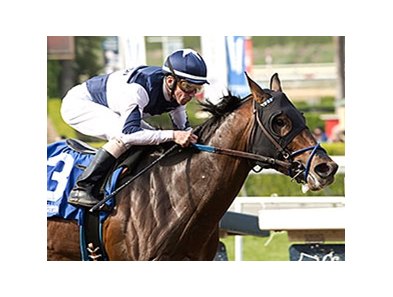 Iron Rob wins the San Pedro Stakes.