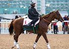 Sherman: Chrome 'Perfect' for World Cup Sherman: Chrome 'Perfect' for World Cup