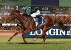 Capitalist wins the Golden Slipper.
<br><a target="blank" href="http://photos.bloodhorse.com/AtTheRaces-1/At-the-Races-2016/i-v73twXb">Order This Photo</a>